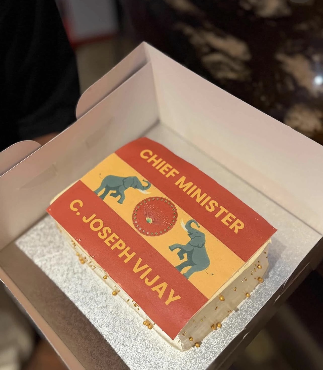 TVK CM 2026 celebration cake